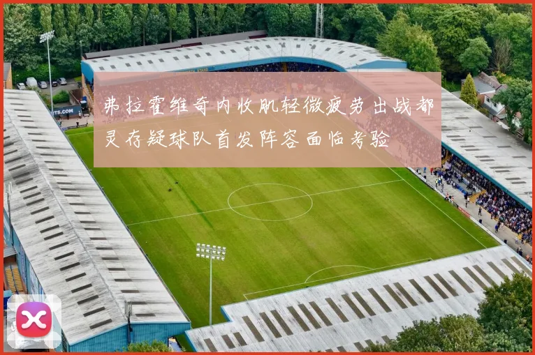 弗拉霍维奇内收肌轻微疲劳出战都灵存疑球队首发阵容面临考验